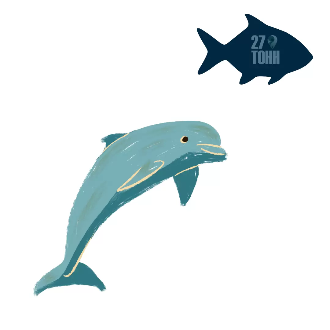 Почему дикая рыба становится выбором премиум-сегмента