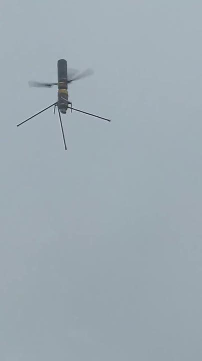 ���� ��� ���������� ������������