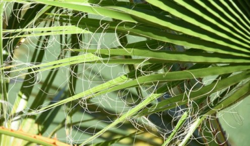 ������ ����������� � ��� �� ������ �������� �������� ��� ����