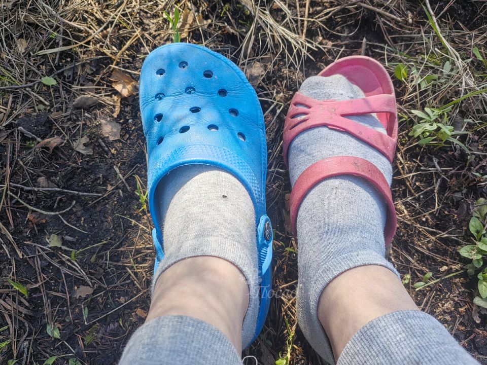 ��������� ��������� � ����: ����� ������ ��������� ����