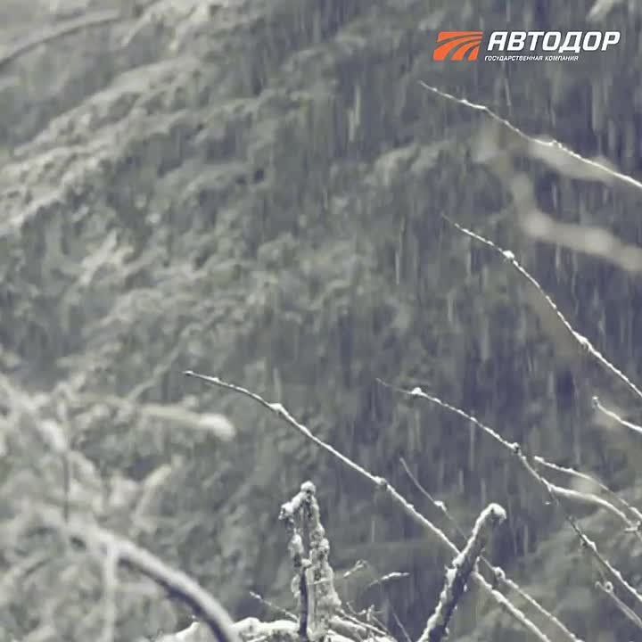 ��������, ��������! ��������� ��������� �������� �������