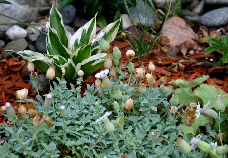 ��� 10 �������� ��� ������������� �������: ������� ��������� ������� ����������