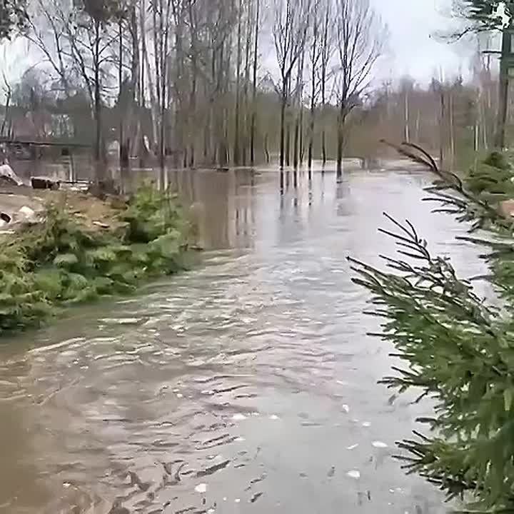 ������ ����� � ��� ��������, �������� �� �����������, ���������� �� ���������