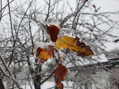 ��� ����������� ��� � ����: ������������ ������ � ������� �������� ������