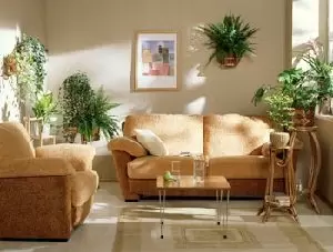 Как комнатные цветы меняют интерьер вашего дома