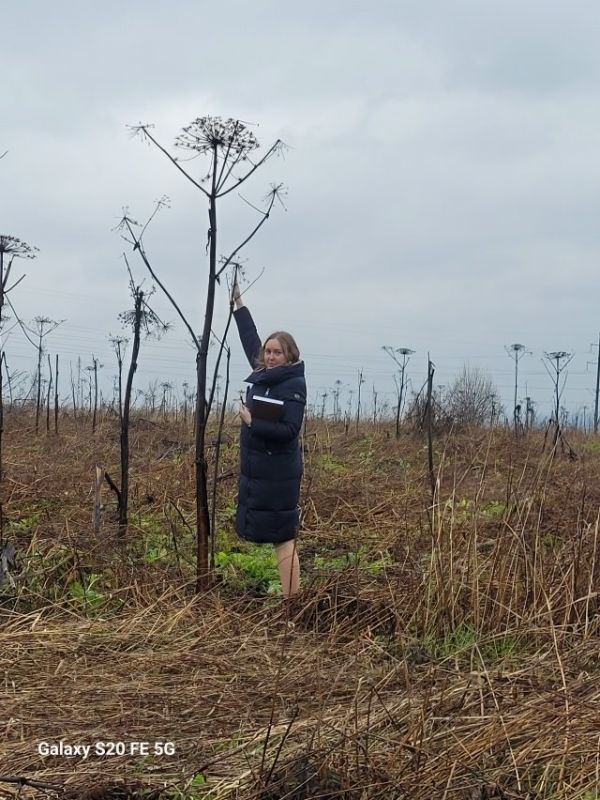 ��������. ��� ���������� �������� ����������� ������� ���������� ��������� ���� � ������� ��������� �������, ���������� �� ������ � ���������� ����������� ������������ ������������ ������� ��������� �������������� ��������...