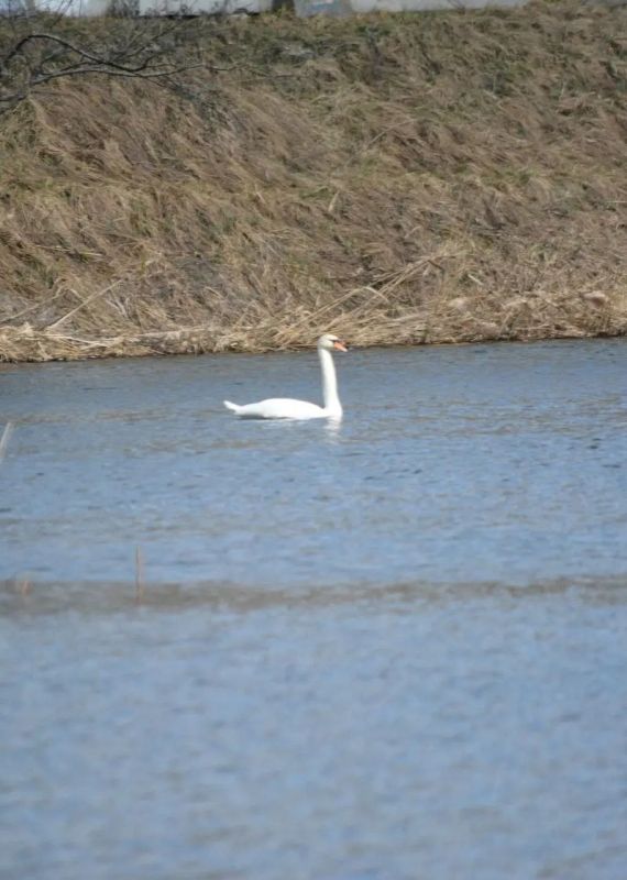 ��� ����� - ����� �� ���� ������� ������������ �������