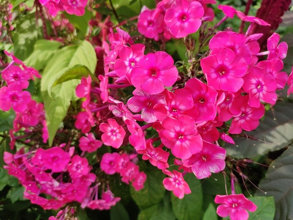 ��� ����������� ������ � �������� � ����: ������� ������ �����