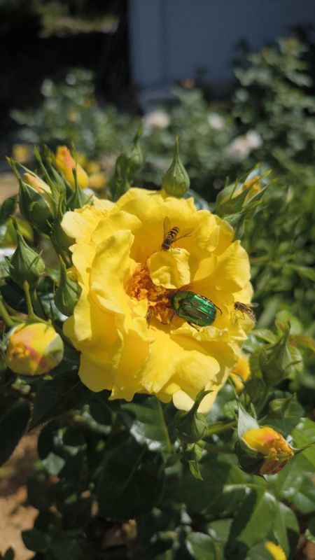 ���������: ���� ����� ��������� ��� �������� ���� ��� ���������?