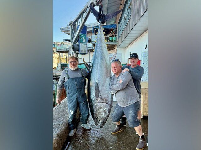 210-������������� ����� � ��������: ������� ����� ����