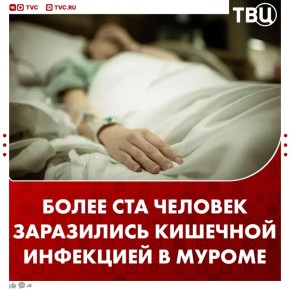 106 случаев острой кишечной инфекции зафиксировано в Муроме Владимирской области, сообщили в областном правительстве