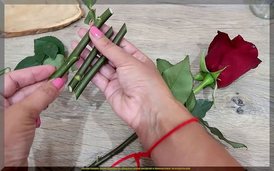 ��� ���������� ����: ������� ��������� ���������� ��������