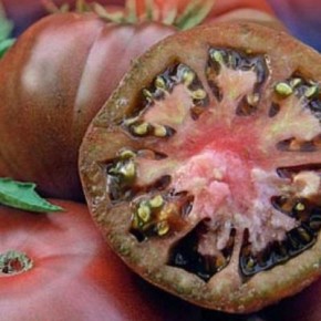 ������ � ���������� �����: ��� ����������� ����� ����������� �������