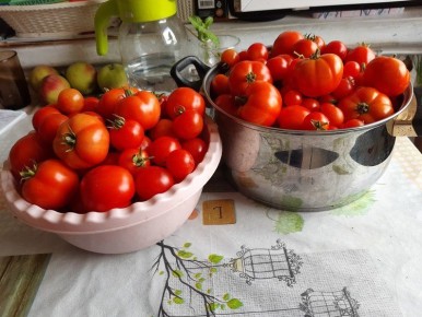 Как сохранить вкусные помидоры до зимы: секреты специалистов