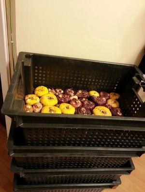 ��� ��������� ����������: ������� �������� � ������������