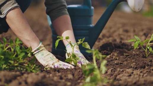 ������� �������� ������� �������: ���� ����������� ������� ������ �� ����������