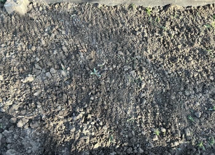 ����� � ����: ��� ��������� ���������� ����� ��� �������� ��������