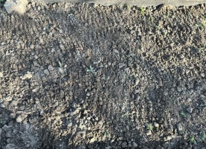 ����� � ����: ��� ��������� ���������� ����� ��� �������� ��������