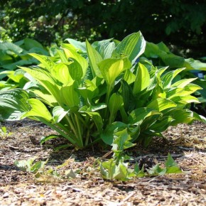 �����: ������� � ������������ ��� ������ ���� � 2025 ����