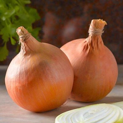 ��������� �������: ������ ������ ���� � ����������� ���������� ��� ������ �������