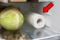 Секрет свежести продуктов: почему бумажное полотенце в холодильнике – это must-have