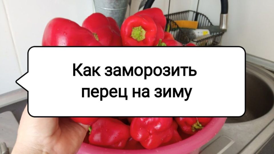 ��� ���������� ���������� �����: ������ ��� ����� ����