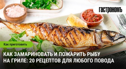 ���� �� �����: ����� ������� � ������� �����������