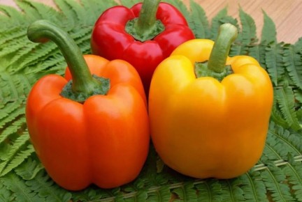 Сладкий перец для вашего огорода: 7 идеальных сортов для ранней посадки