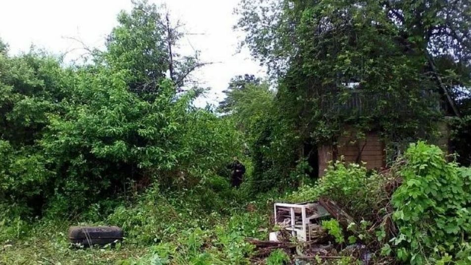 ��� ���������� ������� � ������� �����: ������� �������� ������ ��������