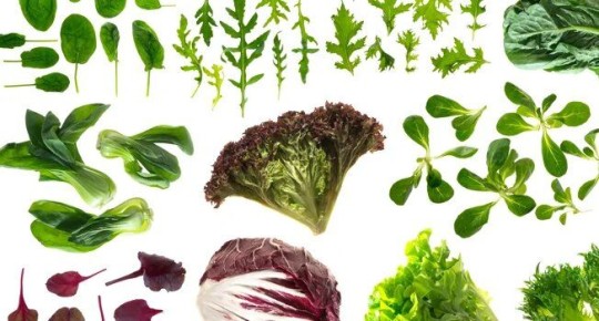 ������� �������� ������: ������������ ������ � ������� ���������