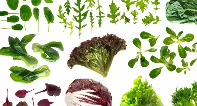 Зеленые листовые салаты: разнообразие вкусов и секреты сочетания