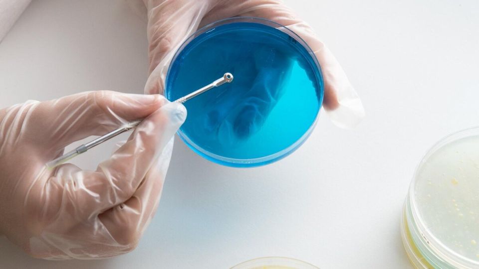 ��������� �������: �������� ������� � ���� ���������� "������� ���"