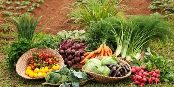 ������������ ����������: ��� ������ ����� ���, ����� ����� �������� �� ���