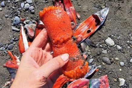 ������ � 2025 ����: ������� ��� ����� ���������� ��������