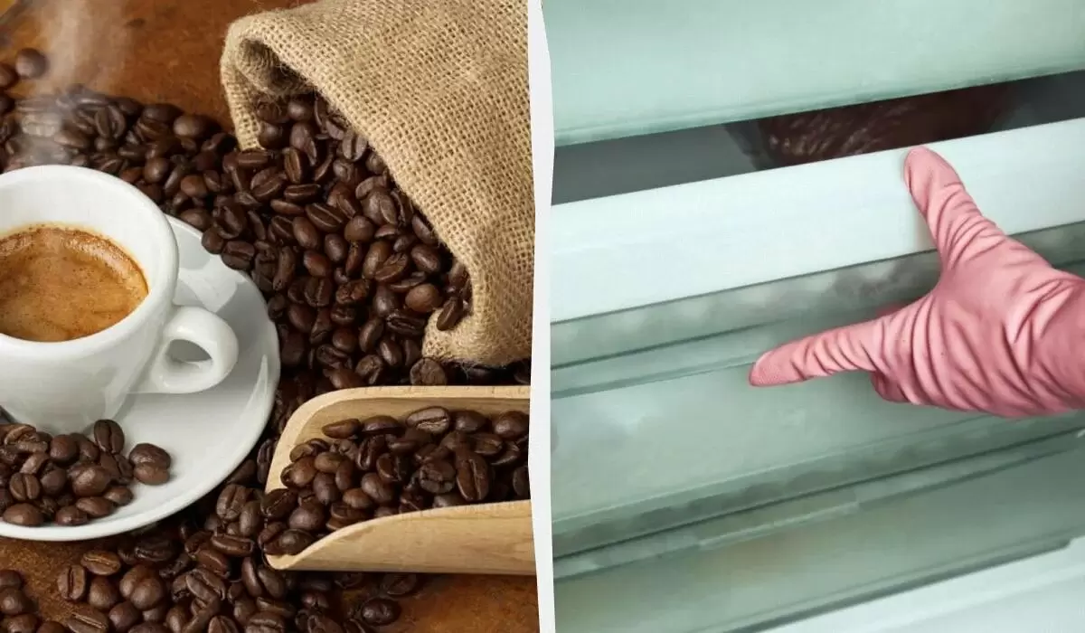 Секреты долговременного хранения кофе: как сохранить свежесть и аромат