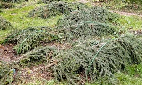 ��� �������� ���� � �������� �� ������ �������: ������� ������������� �������