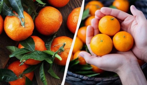 ��� ������ ������� ������ ��������� ��������: ������� ������