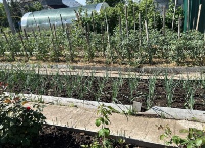 ��� �������� ������� � ����: ����������� ��������� ��� ���������