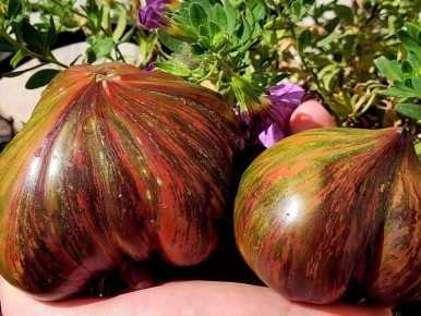 ����� ������ �����: ������� �������������� ����� ��� ������