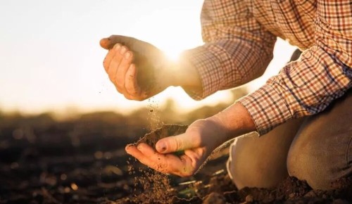 ����������� �����: ���� � �������� ����� ��������