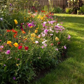 ����� ����������� �������������: �������� ��������� ������� ��� ������ �����