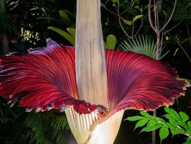 ������, ������� ������, ��� ����: ��������� ������������ ������� ������� � ������