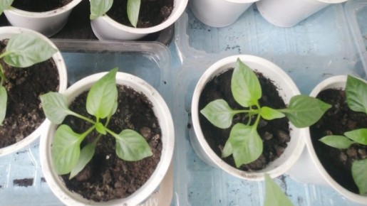 ��� ������� � ����� �������� ������� �����: �� ������ ����� �� ������ �������