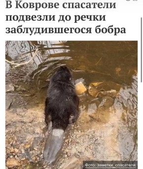 ���������� �������� �� ����� �������� ���������� � �������� ������������� ��������-������������� ������ ������ �������