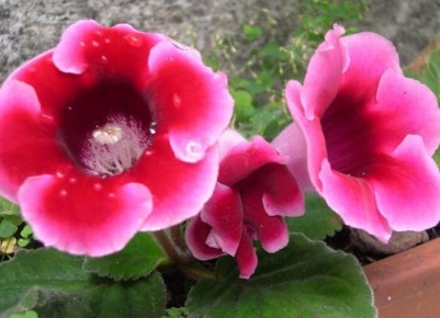 ���������: ����� ����� �� ���������� ������� � �������� ��������