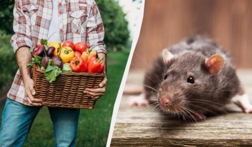 ��� �������� ����� �������� ��� ������� �� ����