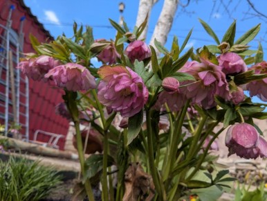 ����� ������: ��� ��������� ����������� ��� �� ��� ������