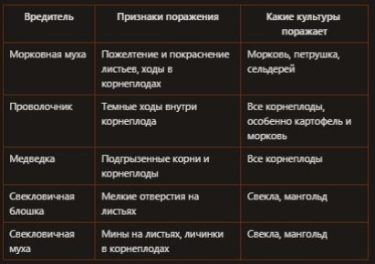 ������ ������ ��� �����������: ��� �������� ������� �� ����������