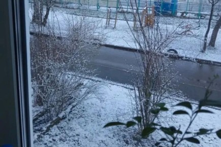 ����������� ���� ������ ������� ����� � �����������