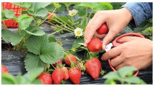 ��� �������� �������� ������ ��������: ������� ��������� �����